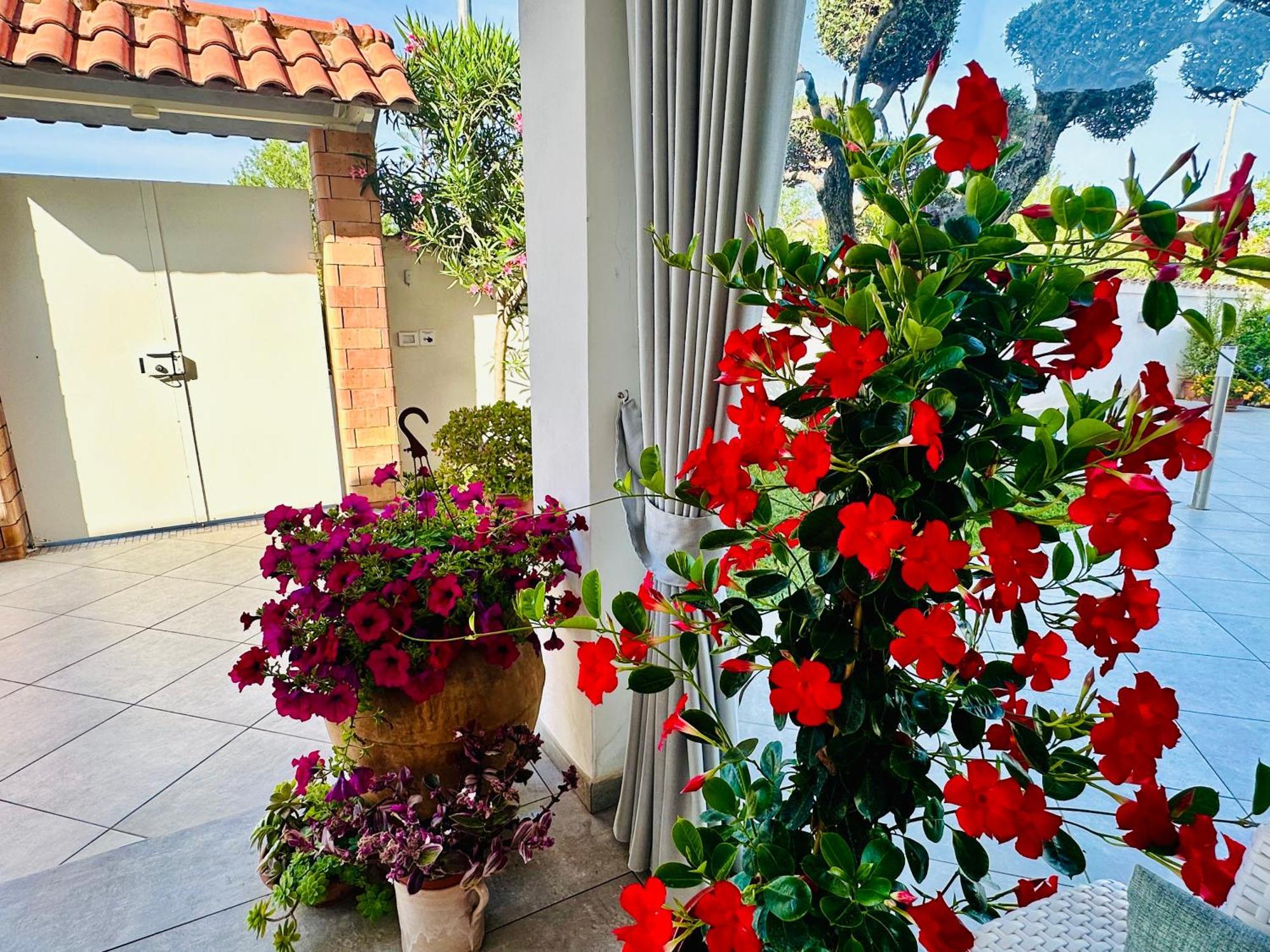 Invilla Bed&Breakfast - Quality Rooms Санта-Мария-ди-Кастеллабате Экстерьер фото